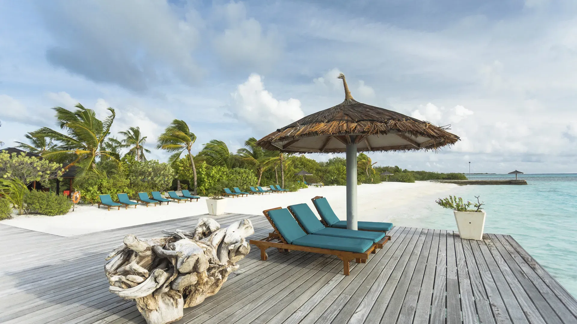 Schnäppchen, Deals Und Rabattcodes Des Tages - Canareef Resort Maldives Strand