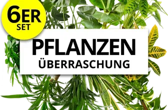 Pflanzenüberraschung 6er Set (ca. 30-70 cm) ab 24,19 € inkl. Versand
