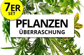 Pflanzenüberraschung 7er Set (ca. 30-70 cm Ø 12-15 cm) ab 25,49 € inkl. Versand