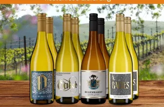 Weinfürst 4×2 Pfälzer Grauburgunder-Highlights für 44,44 € inkl. Versand