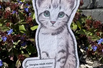 Kostenloses Samenpapier Katze bestellen – Vergissmeinnicht-Blume für mehr Sichtbarkeit von Straßenkatzen