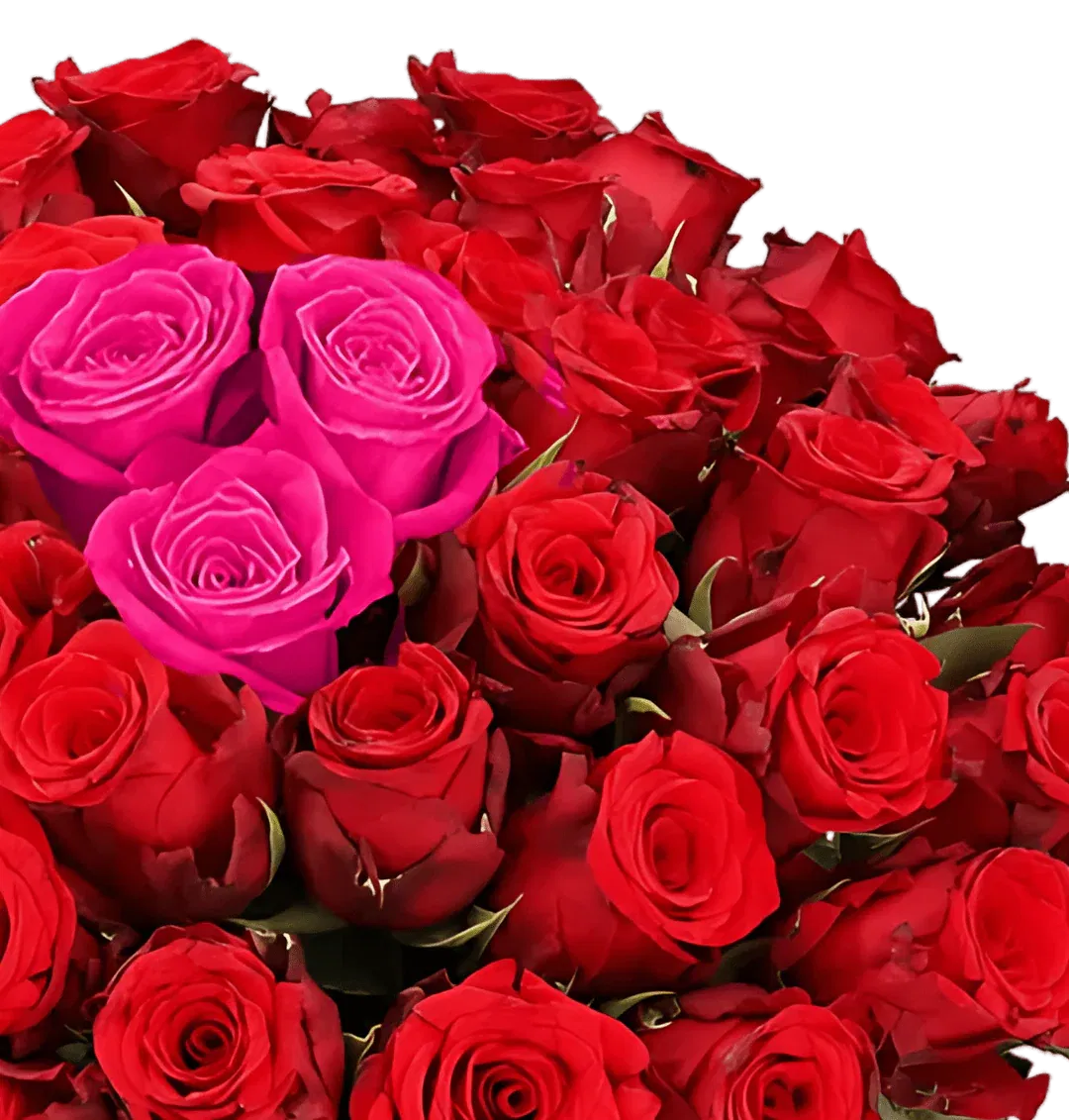 Blumenstrauß Heartbeat mit 30 Rosen ab 25,99 € inkl. Versand