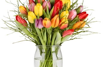 Blumenstrauß Modern Love XL mit farbenfrohen Tulpen