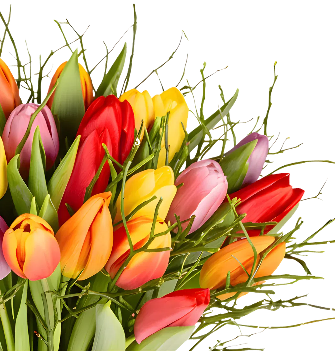 Blumenstrauss Modern Love XL zoom Schnäppchen, Deals und Rabattcodes des Tages - Modern Love XL Blumenstrauß