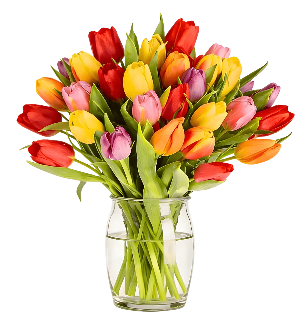 Schnäppchen, Deals und Rabattcodes des Tages - Bunter Tulpenstrauß