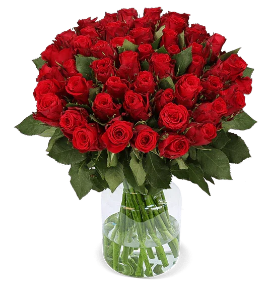 Blumenstrauß aus 50 roten Rosen ab 33,19 € inkl. Versand