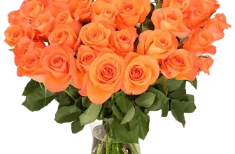 Blumenstrauß aus 60 orangen Rosen ab 34,99 € inkl. Versand