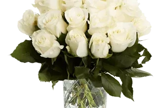 Blumenstrauß aus 60 weißen Rosen ab 34,99 € inkl. Versand