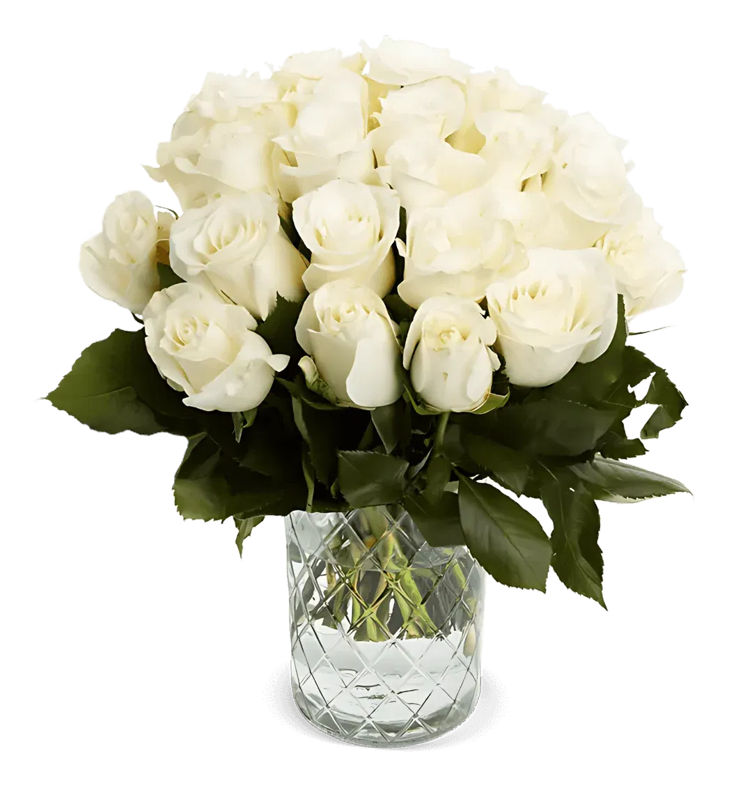 Blumenstrauß aus 60 weißen Rosen ab 34,99 € inkl. Versand