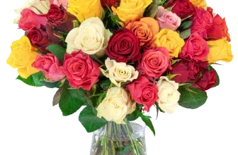 Blumenstrauß mit 33 bunten Rosen ab 39,49 € inkl. Versand