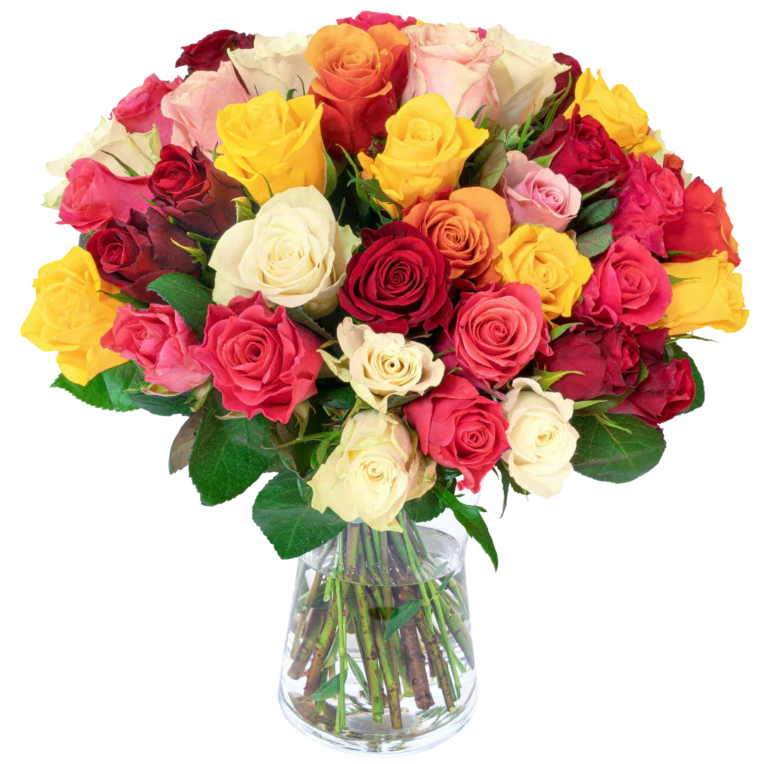 Blumenstrauß mit 33 bunten Rosen ab 39,49 € inkl. Versand