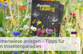 EDEKA Samentüten gratis: Blühmischung für Bienen und Insekten (10. März ab 10 € Einkaufswert – Edeka Südwest)
