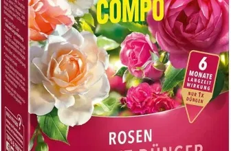 COMPO Rosen Langzeit-Dünger (2kg) - Hochwertiger Dünger für prächtige Rosen