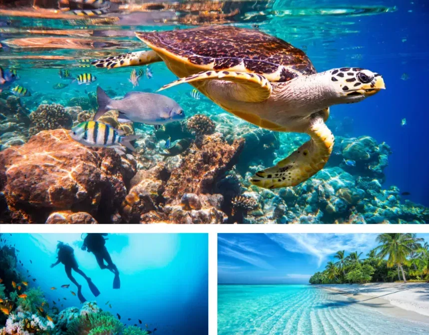 Malediven Cinnamon Velifushi Resort