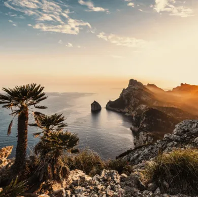 Eintagsfliegen Die besten Flugangebote finden Condor 03 26 2026 05 19 PM 1 Schnäppchen, Deals und Rabattcodes des Tages - Flugangebote von Condor