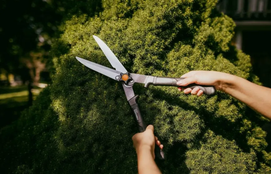 Schnäppchen, Deals und Rabattcodes des Tages: Fiskars Gartenscheren Set 3-teilig