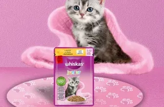 Schnäppchen, Deals und Rabattcodes des Tages - Gratisprobe WHISKAS®