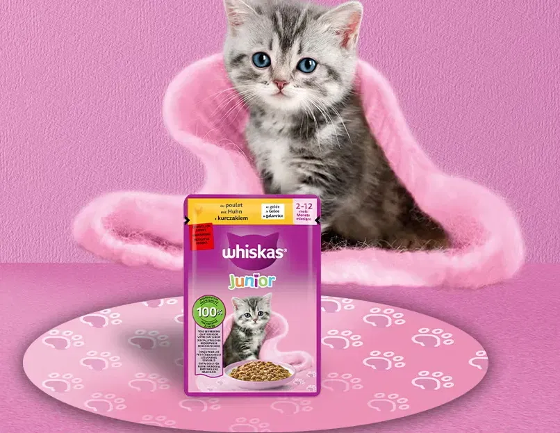 WHISKAS Katzenfutter Gratisprobe „Schnurrcast“ sichern