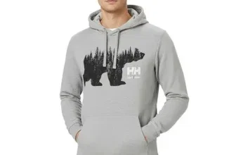Helly Hansen Logo Herren Hoodie, hellgrau, Baumwoll-Pullover mit Kapuze