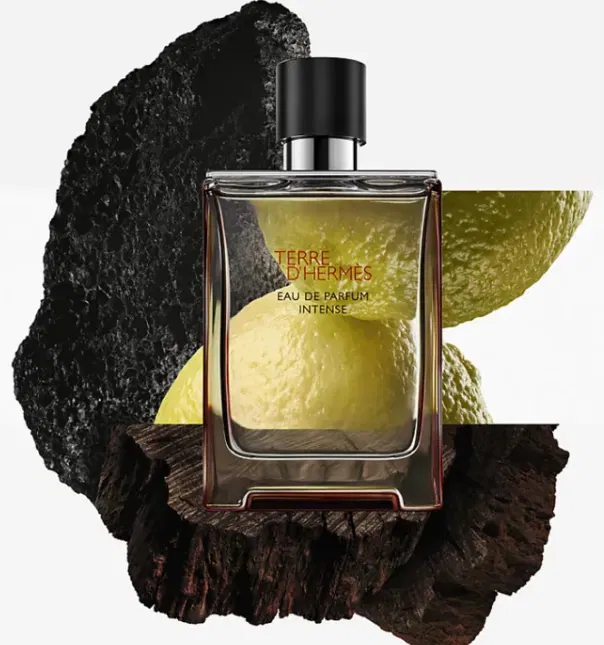 Hermes Terre d’Hermes Geschenkset Eau De Parfum Intense (100ml+15ml)