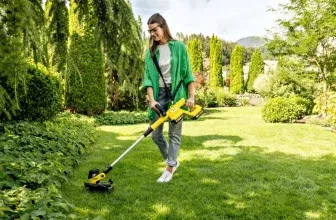 Kärcher LTR 3-18 Akku-Rasentrimmer 36 V mit zwei Akkus und Ladegerät