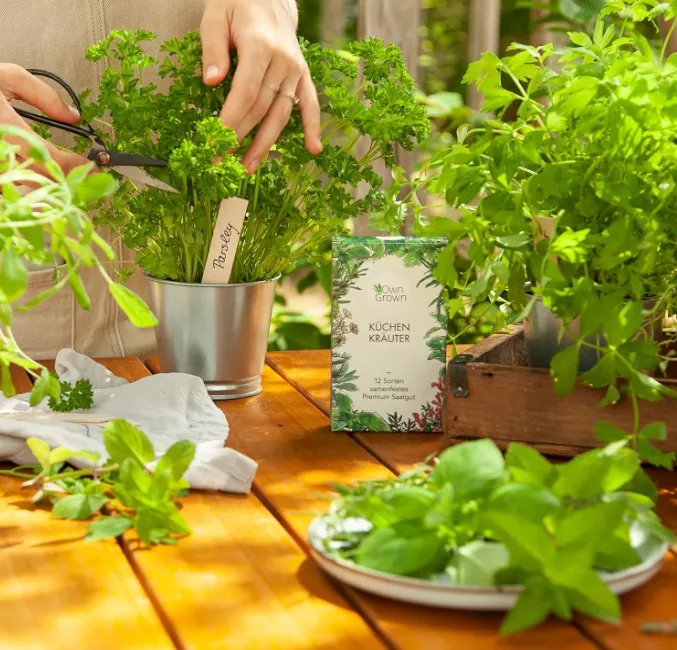 Schnäppchen, Deals und Rabattcodes des Tages: OwnGrown Kräuter Samen Set - 12 Sorten