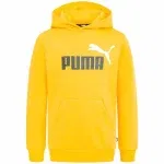 Schnäppchen, Deals Und Rabattcodes Des Tages - Puma Ess 2 Color Big Logo Kinder Hoodie