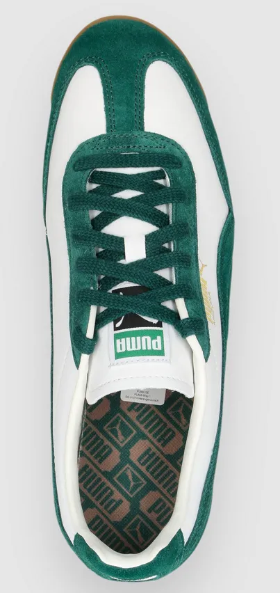 305397648 detail01 jpg jpg 662×882 04 21 2026 01 52 PM