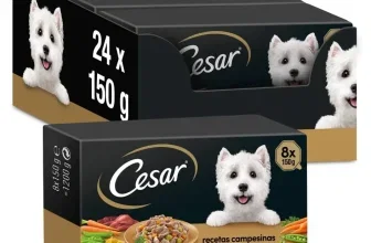 Cesar Multipack Hundefutter