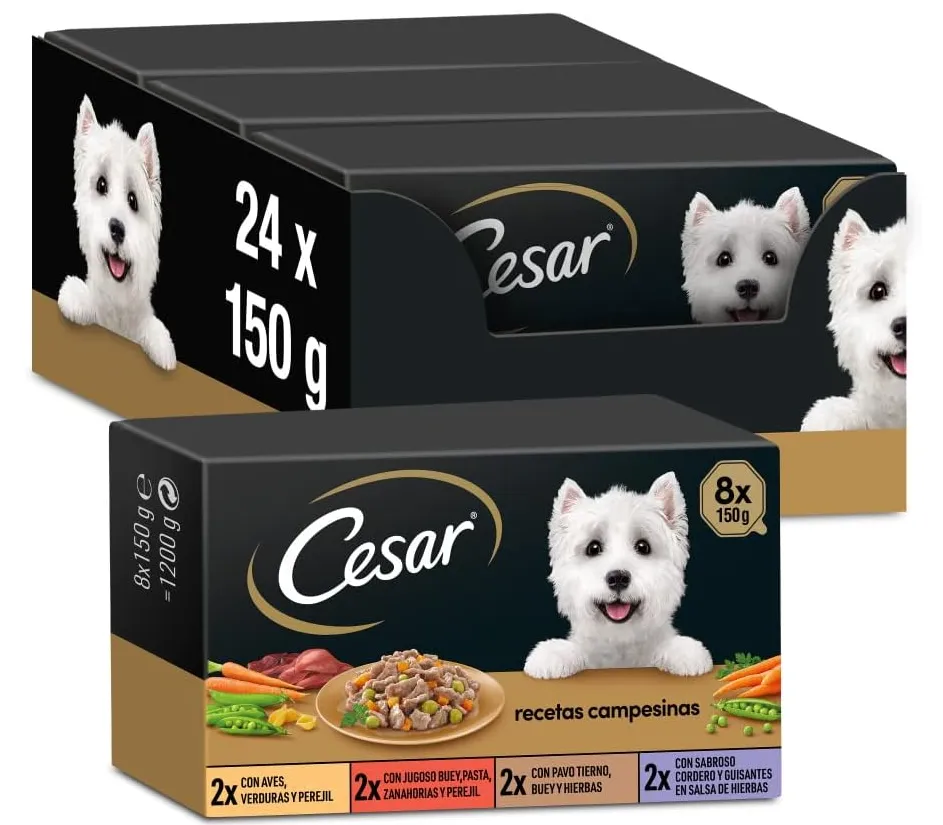 Cesar Multipack (150 g (24er Pack))