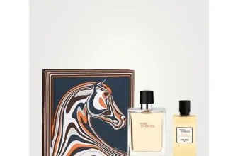 Hermès Terre d’Hermès Eau De Toilette 100 ml Geschenkset