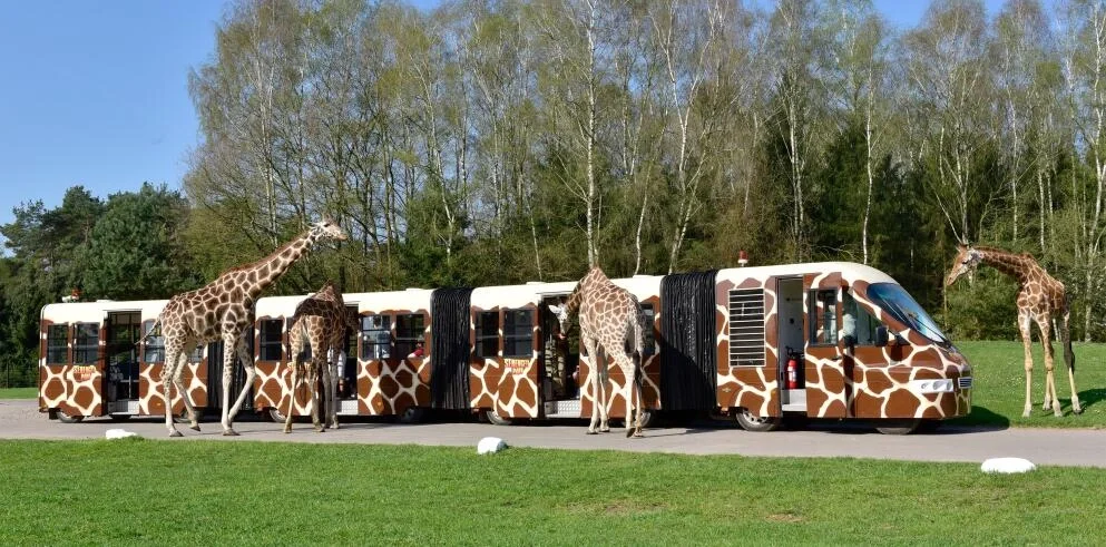 Entdeckt das ultimative Abenteuer:  2 ÜN im 4* Hotel Heide Kröpke inklusive Serengeti-Park Erlebnis ab 308 € für 2 Personen! 🌍🦒