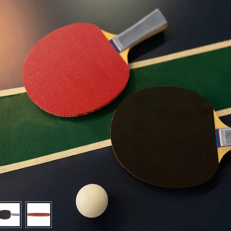 JELEX Palanga 2ER-Set Tischtennis Schläger (mit Netz und 3 Bällen)