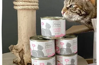MjAMjAM Dosen mit Huhn und Wildlachs neben einer neugierigen Katze