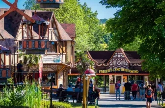 Tageskarte Freizeit-Land Geiselwind