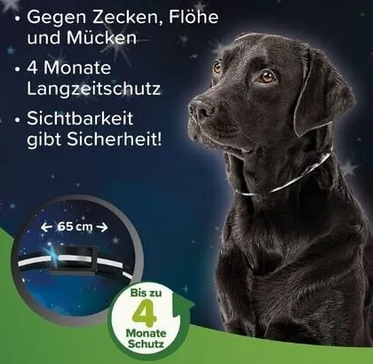 Tierbedarf 3er Set Beaphar Zecken und Flohschutz Halsband reflektierend Hund 65cm 04 25 2026 05 06 PM 1