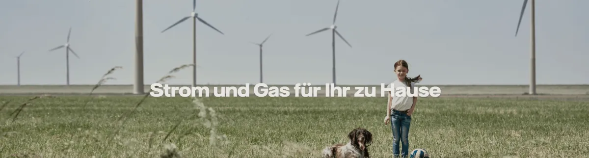 Vattenfall Ökostrom Tarif mit 24 Monaten Preisgarantie im Vergleich