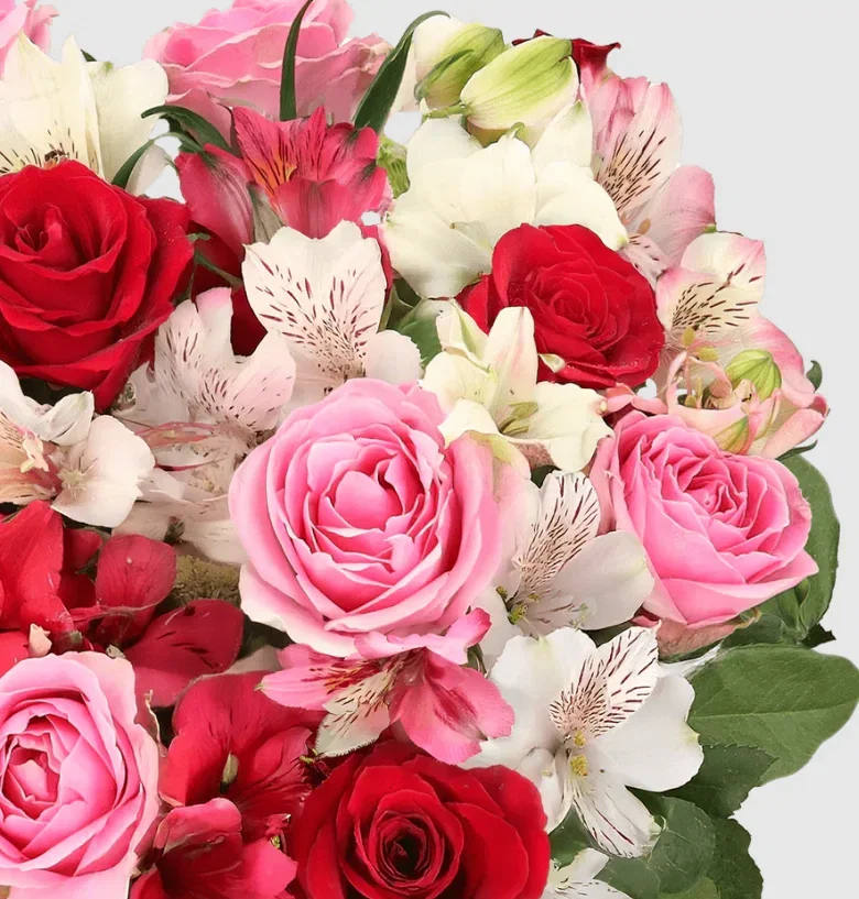 Blumenstrauß Rosenwunder mit 20 Stielen ab 25,99 € inkl. Versand 🌹🌹🌹