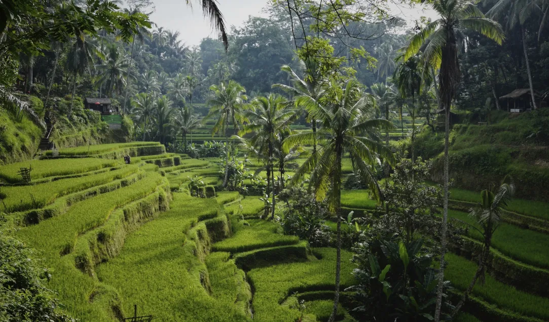 Indonesien Bali Rundreise Baden 19 05 2026 18 37 Indonesien Bali Rundreise Baden 19 05 2026 18 37