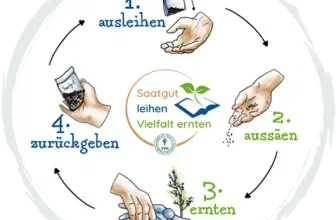 Illustration der Aktion Saatgut leihen - Vielfalt ernten