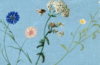 Kostenlose WWF-Pflanzensamen für Balkon, Garten und Fensterbank
