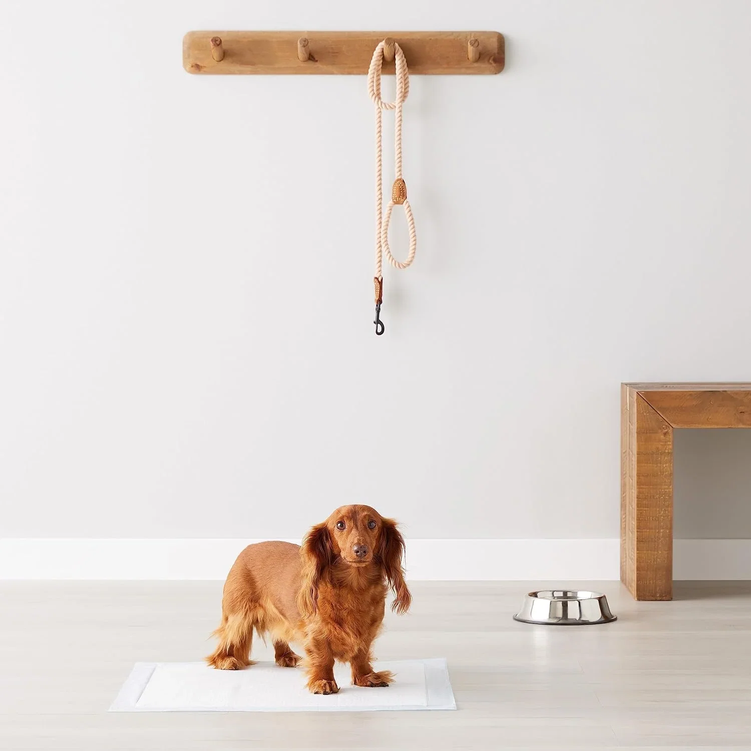 Amazon Basics Trainingspads fuer Hunde und Welpen auslaufsicheres 5 lagiges Design mit schnell trocknender Oberflaeche N B00MW8G62E 2 Amazon Basics Trainingspads für Hunde und Welpen 100 Stück