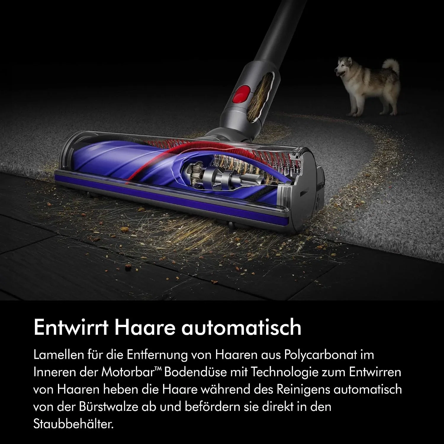 Dyson V8 Origin Kabelloser Staubsauger 2026 130 AW bis zu 40 Min Laufzeit Motorbar mit Haarentwirrungstechnologie Ha B0GVP7XY36 4