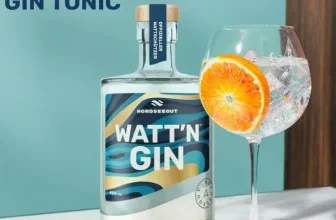 Eine Glasflasche Gin mit Etikett neben einem Glas mit Eis und Orange.