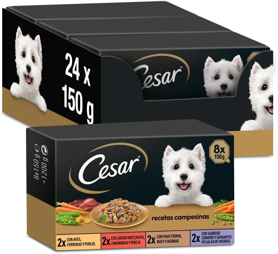 Cesar Multipack 24er Pack (24x150g)