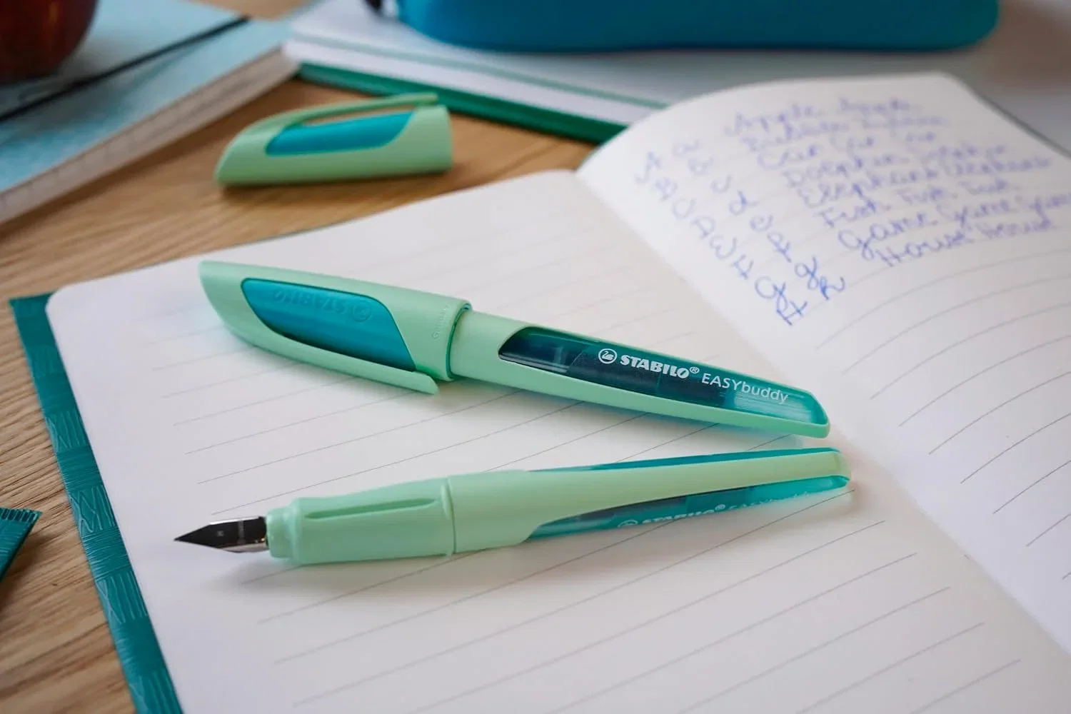 STABILO Schulfueller mit Standard Feder M EASYbuddy Pastel in minzgruen blau loeschbar inkl. Patrone B09NX7VH4G 4 STABILO Schulfueller mit Standard Feder M EASYbuddy Pastel in minzgruen blau loeschbar inkl. Patrone B09NX7VH4G 4