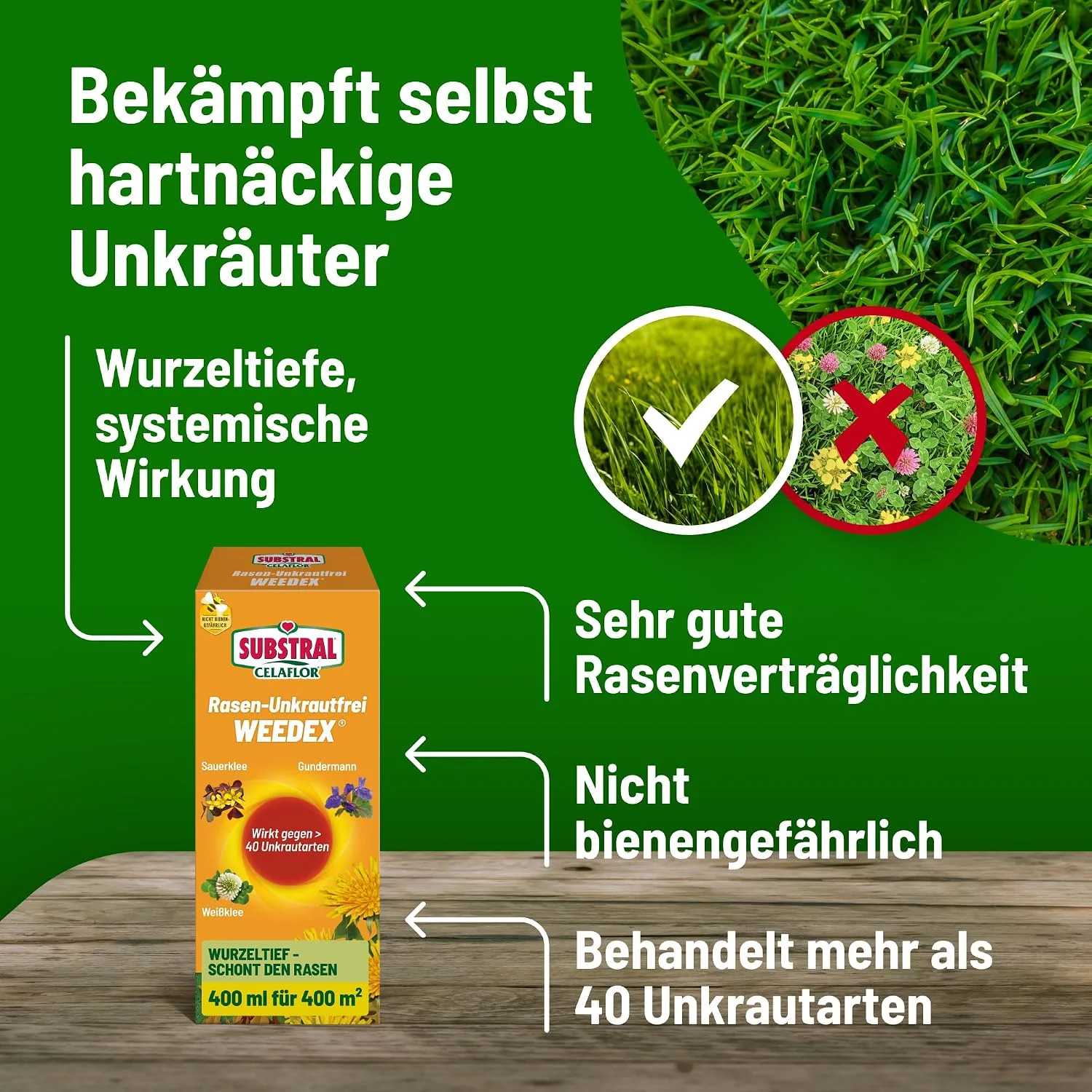Substral Celaflor Rasen-Unkrautfrei Weedex Konzentrat