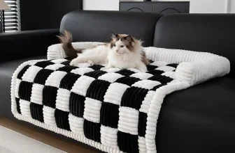 Ein schwarzes Sofa mit einer Katze darauf, die auf einem schwarzen und weißen Hundebett liegt.