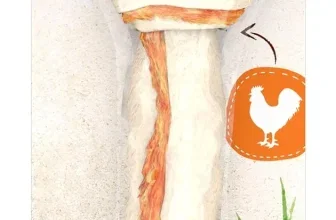 8in1 Delights Chicken Knochen L in der Verpackung mit Golden Retriever