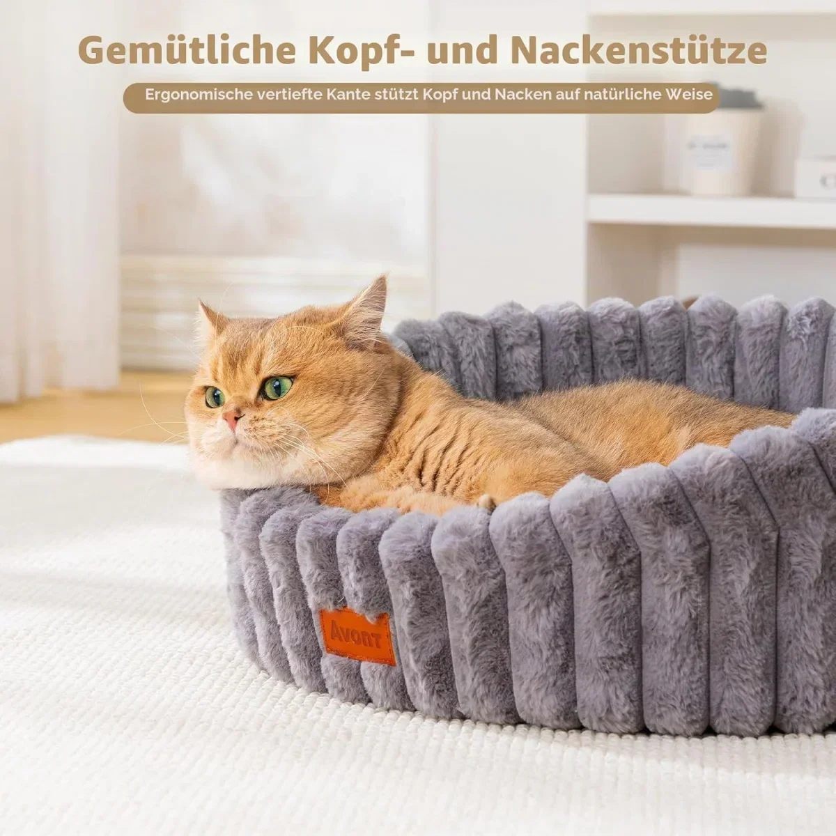 Avont Katzenbett mit waschbarer Polsterung